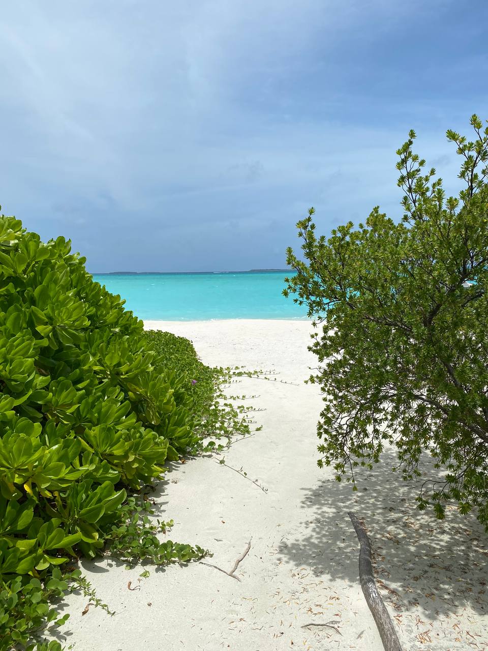 Ukulhas Beach House 5