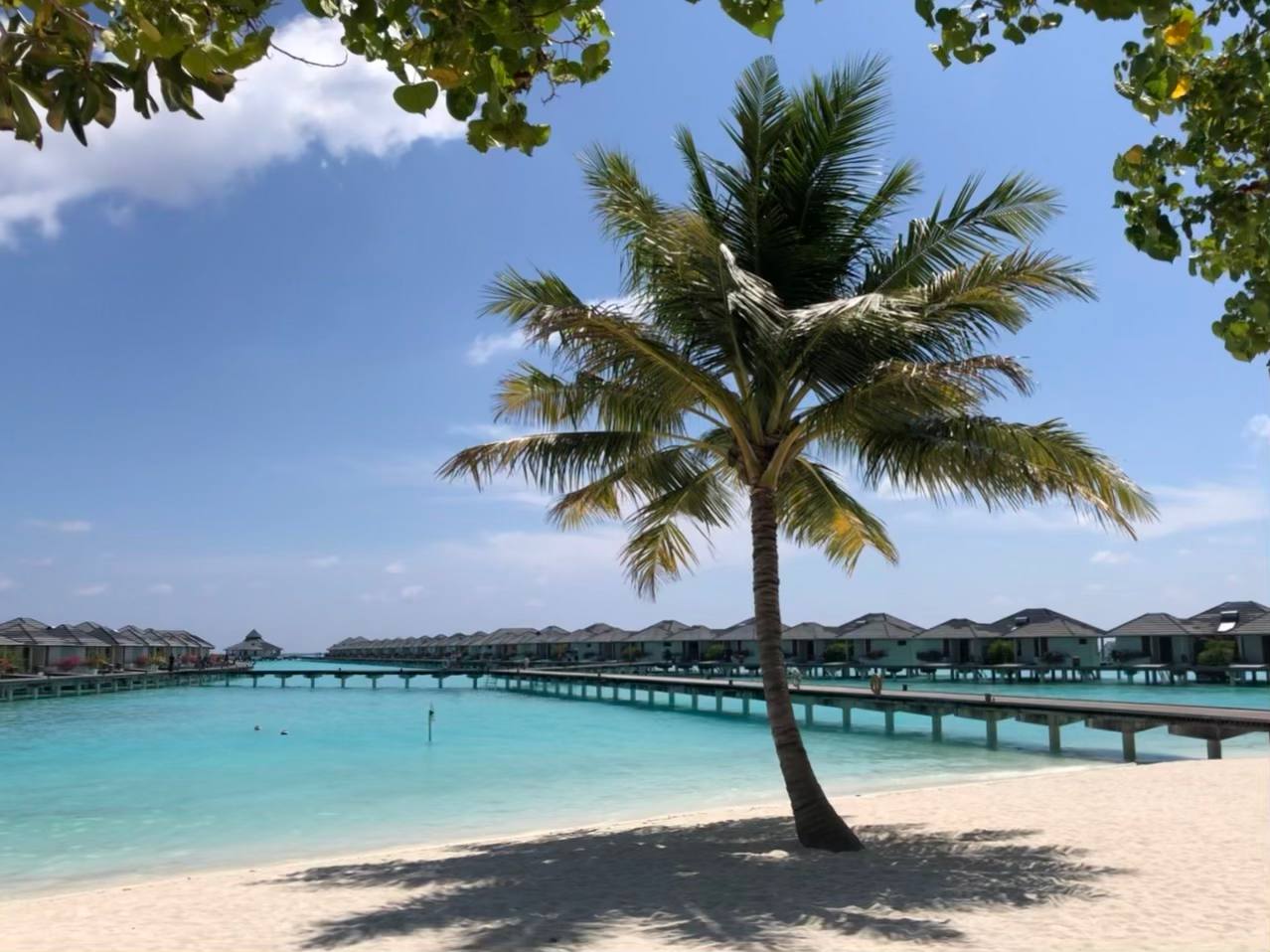 Ukulhas Beach House 6